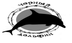 blackdolphin