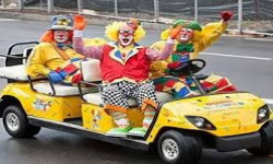 Sheps Clown Car