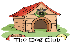 Team Dogclub