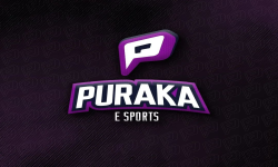 Puraka esports