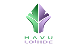 Havu x Loihde