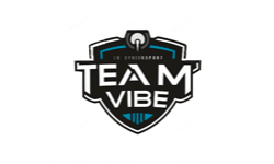 Team Vibe