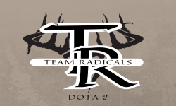  Team Radicals