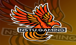 NSTU_Gaming
