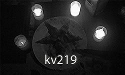 Kvartira219