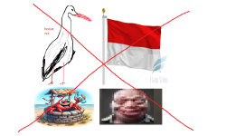 polish rejects
