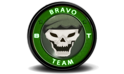 BravoTEAMBR