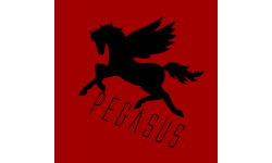 Pegasus Team