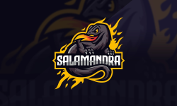 Team Salamandra 