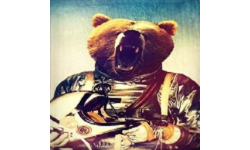 Super Killers Bears from Space