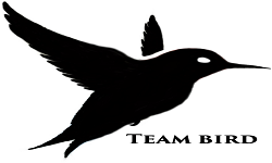 Team_Bird