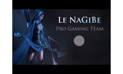 Le Nagibe pro