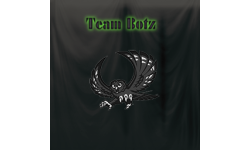 TeamBotz