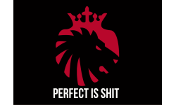 Perfect Is Shit >