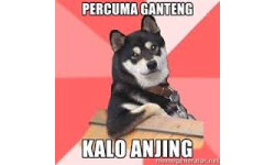 Ganteng Ganteng Anjing