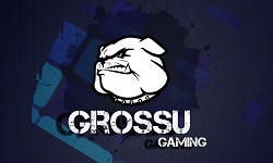 TEAM GROSSU GAMING
