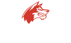 DiCE Orange