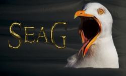Seagull Gaming
