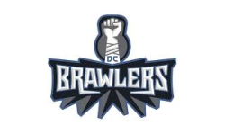 Team Brawlers