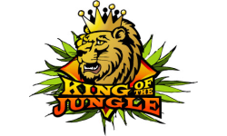 Jungles King