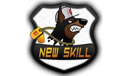 Team New Skill