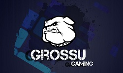 Grossu Gaming TEAM