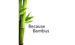 Because bambus