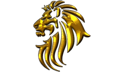 Gold Tigers