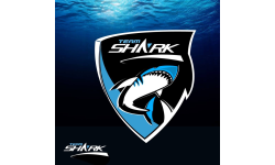 Shark eSport Dota 2