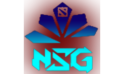 NET STAR GAMING