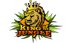 JUNGLE`S KING