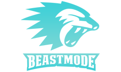 Beastmode e-sport