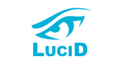 Team-Lucid