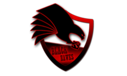 Black Hawks E-Sport Dota Team