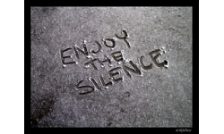 Enjoy Th3 Silence