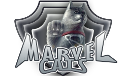 Marvel Cats
