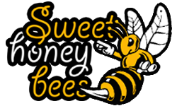Sweet Honey Bees.
