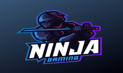 Ninja