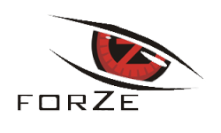 ForZe.^