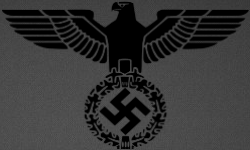 The Nazi Party*