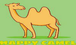 Happy Camel Rider