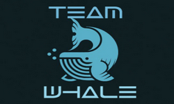 The Team Whale