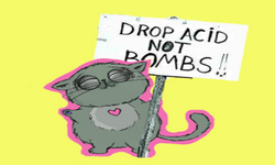 Drop Acid Not Bombs