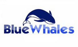 Blue Whales