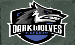 WOLVES.GaMinG