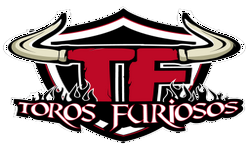 Toros Furiosos