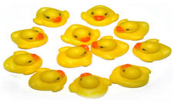 DuckTeam²