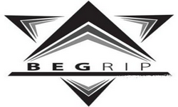 Begrip