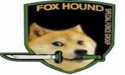 Doge Hound