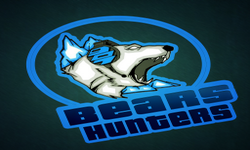 Bears Hunters